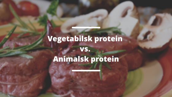 Animalske proteiner vs. vegetabilske proteiner
